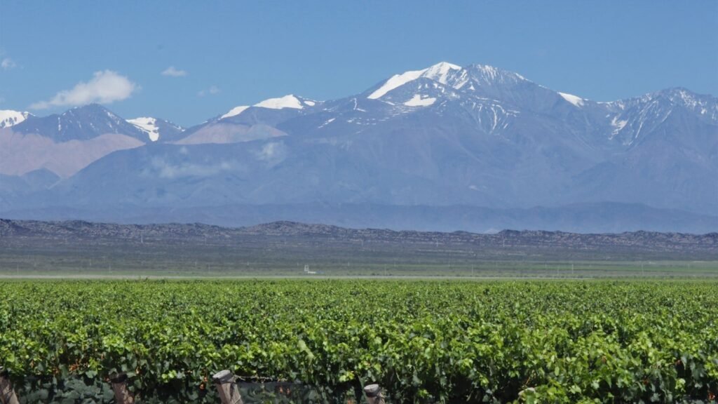 Viñedos al pie de los Andes, Mendoza